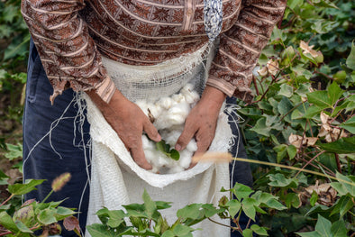 Cottoning on to Cotton